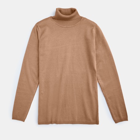 Long Sleeve Turtleneck Sweater Camel Wantable